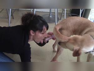 La obsesion por el perro de Jesse: explora el lado extremo