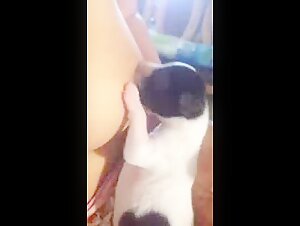 Intimacy with a dog