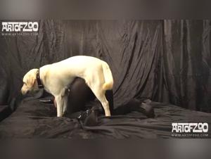 Zooskool Presents: The Irresistible Animal Temptation of Adilia & Nicole