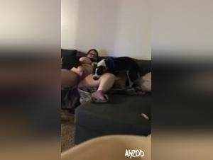 zoophilia :  video hardcore chien et humaine