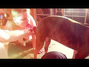 Woman subjected to a dog in an extreme zoophilia video