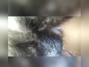 Dévoilements Salaces : Blonde et Chien dans un Orgie Sensorielle