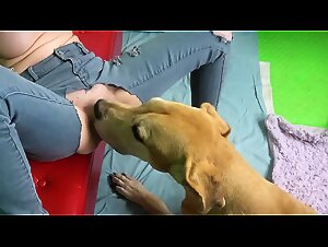 Miss K succhia Dog Girl - Fap Vid HD e Tickzoo TV