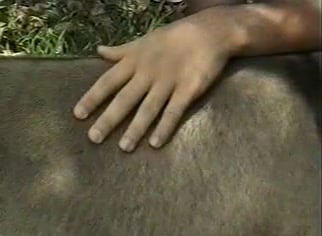 Zoophilia MILF: Fucked Deep by a Horse