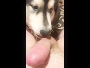 Dog and woman: a beastly encounter