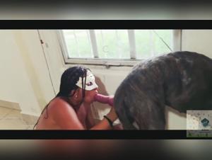Artofzoo porno - Puta sucia se la chupa a su perro con la puta de mi amo