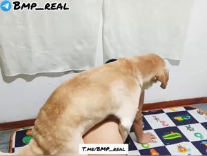 Doggy wild on Benita: hardcore licking and fucking