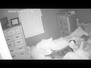 Ipcam - Intimité avec un Ami à Quatre Pattes