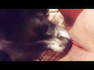Intime Moment avec un Chien