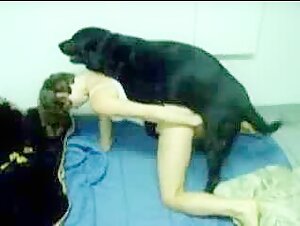 First experience of zoophilia with a dog