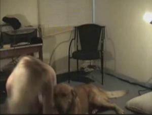 Dog's Pleasure with an English Girl: Kisses and Animal Enjoyment