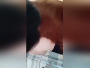 Asian Girl's Homemade Zoophilia Session with Dog
