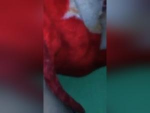 New XXX Video Pool: Sluts and Dogs in Action