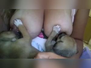 The Sweet Misfortune: Breastfeeding and Canine Debauchery