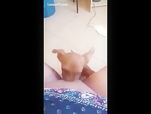 Submissive woman and her dog