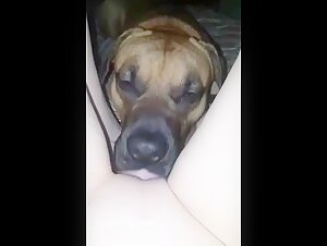 Woman and her dog: a forbidden love story