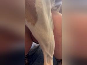 Modello scopato da cane: Oral selvaggio e godimento crudo
