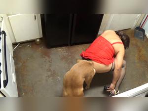 Liaison Taboue : La Verité Sauvage d'une Femme et son Chien