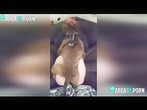 Maris autorise un chien à baiser sa femme aux fesses généreuses
