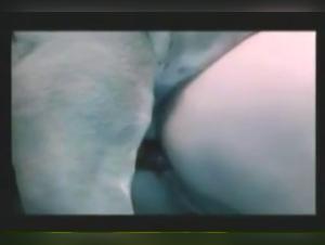 Bestial Delights: Amanda Caledonian and her Wild Dog