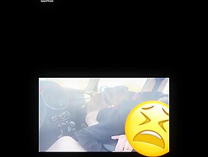 Teenager und Hund in einem Auto