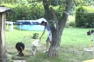 Zoophilie Brutal : Chien Défonce Milly