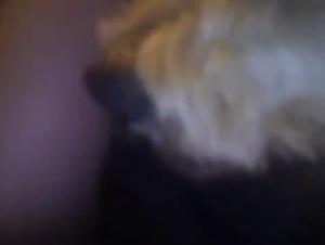 Désir Animal :  Videos XXX Femmes & Chiens