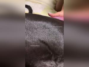 The Dog Fucks Lexycherrry: Intense and Brutal Zoophilia