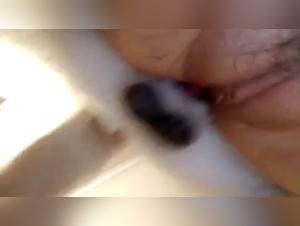 Intollerable Debauchery: Animals and Women in a Whirlwind of Lust