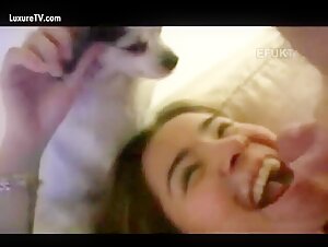 Dog submissive to his mistress