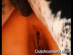 Chienne soumise se fait enculer par un chien