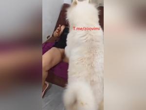 China's Furry Frenzy: Amateur Dog-Kissing Action