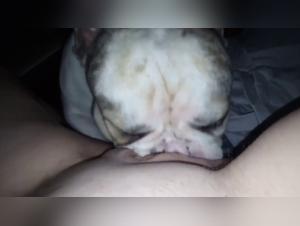 Exploring Dog Zoophilia: A Woman's Secret Encounter