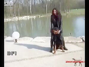 Frau und Hund: Eine verbotene Begegnung