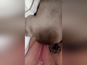 The naughty bitch and her canine companion
