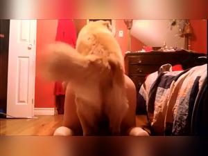 Dog sex video porn