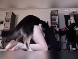 Sexyannabelle's Bestial Intoxication