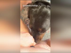 Homemade Doggy Style: A Woman Revealed by Her Dog