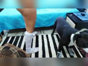 Animal Debauchery: Milly's Canine Obsession