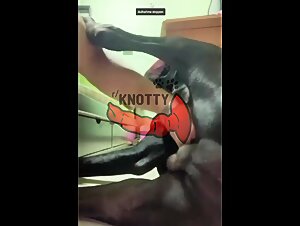 Bestialita hardcore con latina e cani nel paesaggio di Citta del Messico