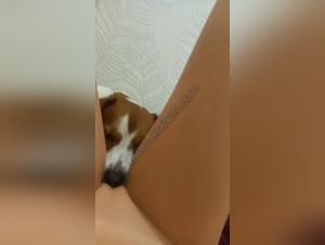 Premières Délices : Une jeune femme et son chien s'adonnent à la passion brute.