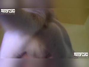 Alles fur dich, die Schlampe, die einen Hund fickt: eine wilde Liebesgeschichte