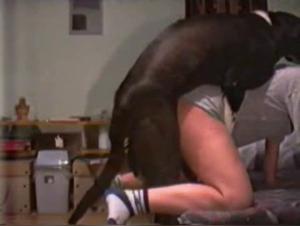 Amateur Bitch Meets a Slut, Hardcore Action at Home