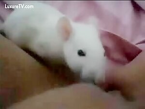 Rat licking a woman's private area