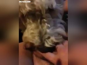 This bitch gets licked by her furry companion