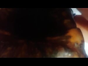 Penetration vaginale extreme avec tortue: Zoofilia Hardcore