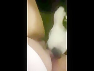 Husky-Lecken - 5 Tipps fur mehr Vergnugen