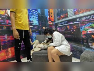 Immodest Unveilings: Zoofilia Sauvage with Milly and Her Dog