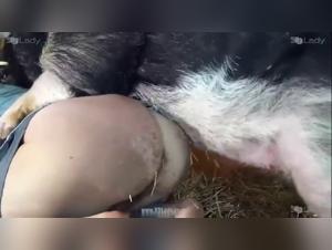 Ariel explores limits with an intense canine anal revision.