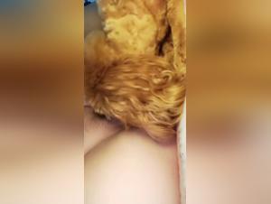 Chica asiática en TikTok, se divierte con un perrito
